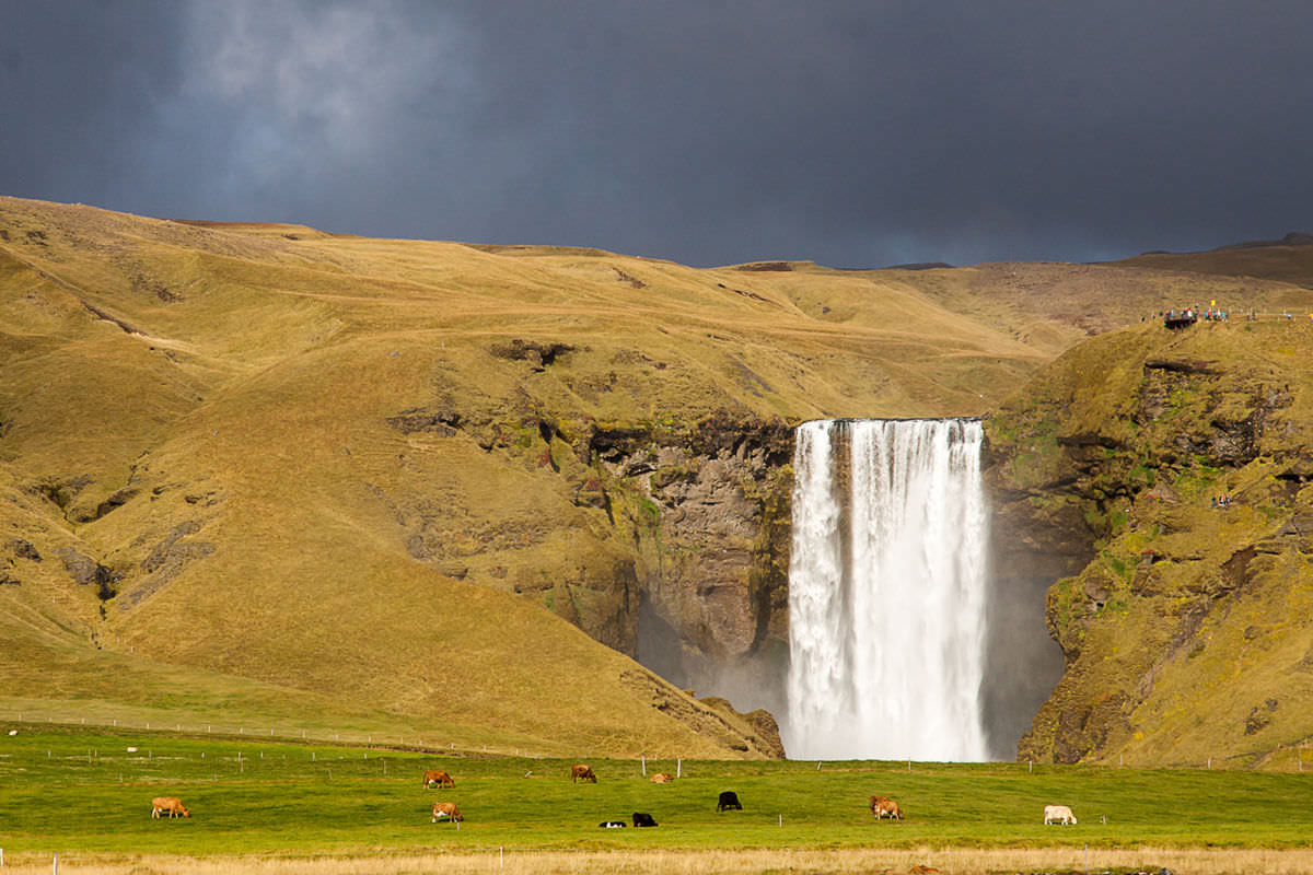 Islanda - Guide Trek Alps - Viaggi Natura nel Mondo