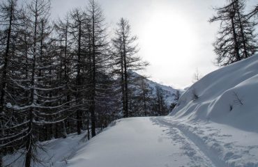 Ciaspolata in Paradiso - Guide Trek Alps Viaggi Natura nel Mondo