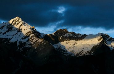 Gallo Forcello - Guide Trek Alps – Viaggi in Natura nel Mondo