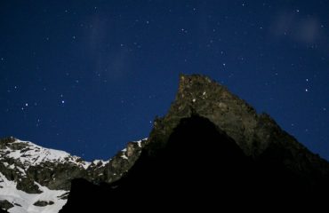 Gallo Forcello -  Guide Trek Alps – Viaggi in Natura nel Mondo