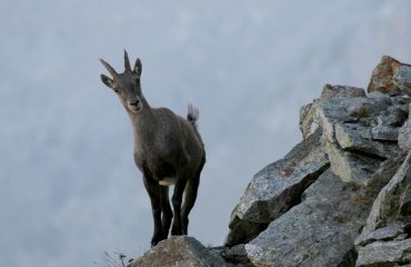 Alba al Mont Fallere - Guide Treck Alps - Emozioni in Natura