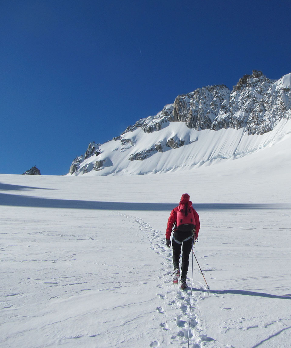 Passegiata sul Ghiacciaio - Percorsi Alpini - Viaggi natura nel mondo