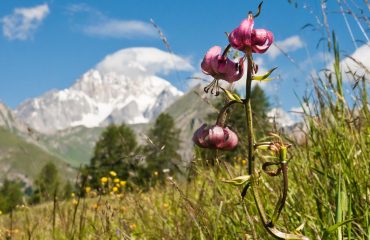 Weekend Paradiso - Guide Trek Alps
