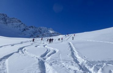 Ciaspolata al colle - Guide Trek Alps - Viaggi in Natura nel Mondo