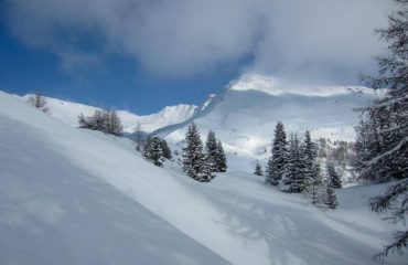 Ciaspolata in Alpeggio - Guide Trek Alps - Viaggi in Natura nel Mondo