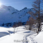 Aperitivo in ciaspole 6 - Guide Trek Alps - Viaggi Natura nel Mondo