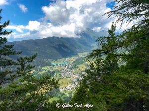 Camminare sull Oro 2 - Guide Trek Alps - Viaggi Natura nel Mondo