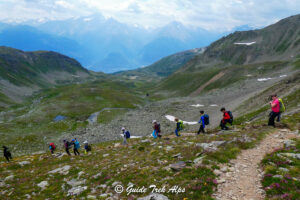 Gli Stereotipi di Genere 5 - Guide Trek Alps - Viaggi Natura nel Mondo