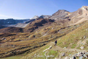 Il Paradiso ritrovato 6 - Guide Trek Alps - Viaggi Natura nel Mondo