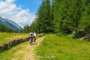 L Abbraccio del Gran Paradiso 3 - Guide Trek Alps - Viaggi Natura nel Mondo