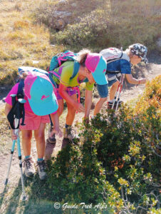 Pancine in Passeggiata con l Ostetrica 5 - Guide Trek Alps - Viaggi Natura nel Mondo