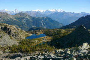 Short Trek del Mont Avic 2 - Guide Trek Alps - Viaggi Natura nel Mondo