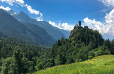 Camminando su l'oro - Guide Trek Alps - Viaggi in Natura nel Mondo