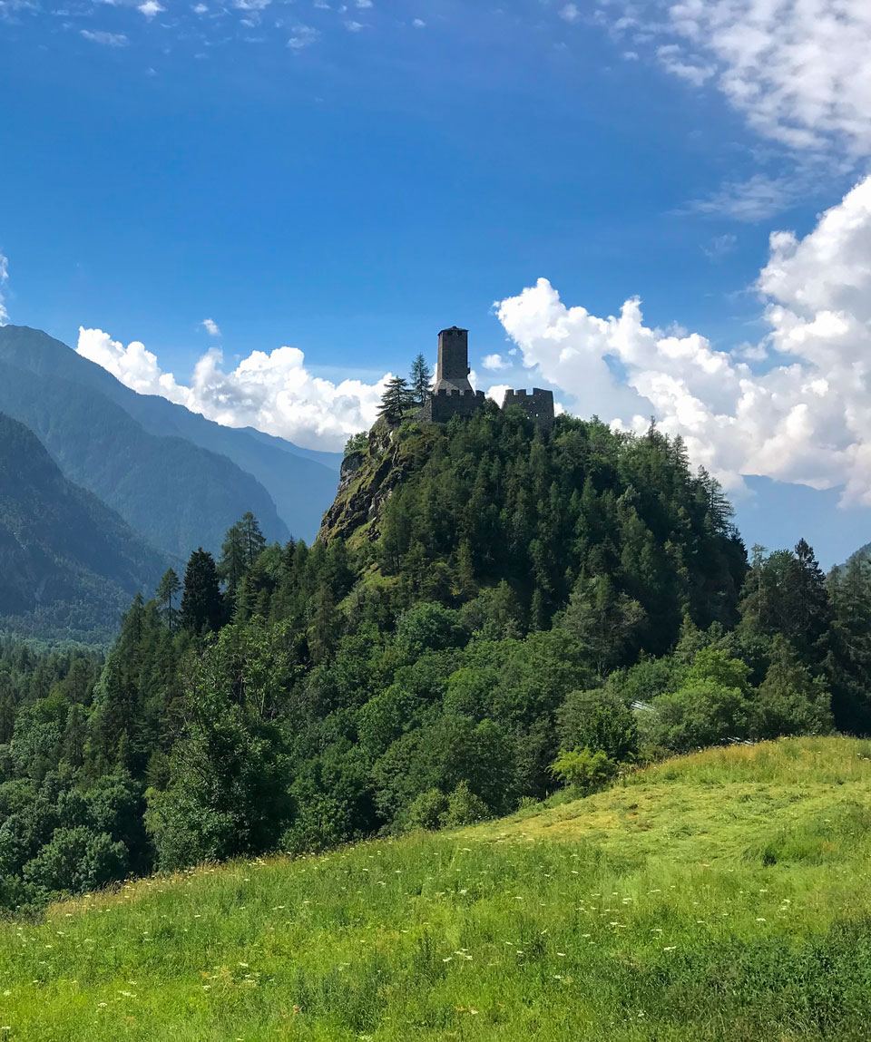 Camminando su l'oro - Guide Trek Alps - Viaggi in Natura nel Mondo