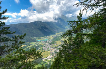 Caminando su l'oro - Guide Trek Alps - Viaggi in Natura nel Mondo