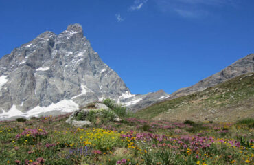 Camper Trek - Guide Trek Alps - Viaggi Natura in Mondo