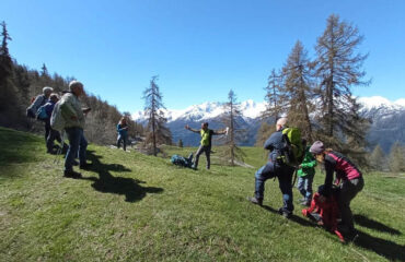 Il Luppo in VDA - Guide Trek Alps - Viaggi Natura in Mondo
