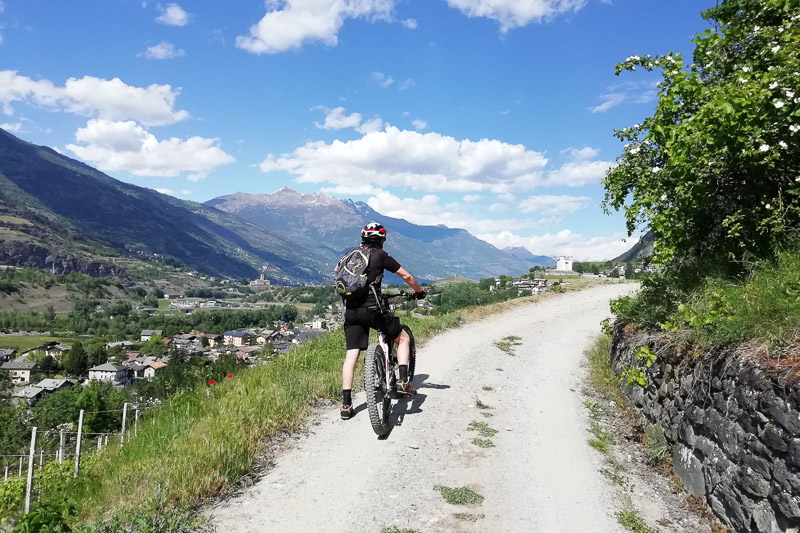 Trenitalia - Guide Trek Alps - Viaggi Natura in mondo