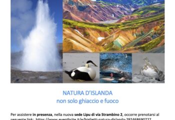 Serata Fotonaturalistica - Guide Trek Alps - Viaggi Natura in mondo