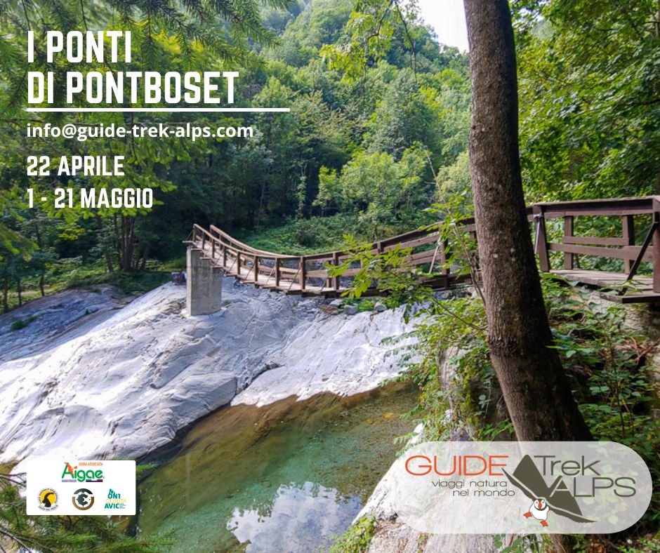 I ponti i Pontboset 2023 - Guide Trek Alps - Viaggi Natura in Mondo
