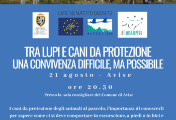 Serata Avise 2023_cani da protezione - Guide Trek Alps - Viaggi Natura in Mondo
