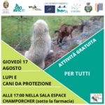 Lupi e Cani in Valle D'Aosta - Guide Trek Alps - Viaggi Natura nel Mondo