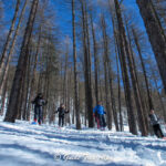 Nel Bosco in Ciaspole 6 - Guide Trek Alps - Viaggi Natura nel Mondo