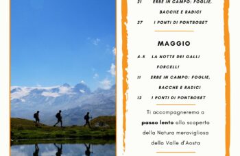 Escursione guidate a piedi - Guide Trek Alps - Viaggi Natura in Mondo