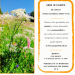 Erbe in campo - Guide Trek Alps - Viaggi Natura nel Mondo