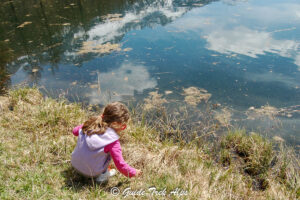 Una Giornata in Famiglia-01 - Guide Trek Alps - Viaggi Natura nel Mondo