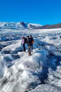 Islanda di Ghiaccio - Guide Trek Alps - Viaggi Natura nel Mondo