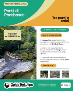 Ponti Pontboset guide trek alps - Guide Trek Alps - Viaggi Natura nel Mondo