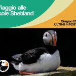 Viaggio Isole Shetland Guite trek alps - Guide Trek Alps - Viaggi Natura nel Mondo