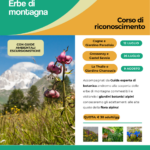 erbe di montagna - Guide Trek Alps - Viaggi Natura nel Mondo